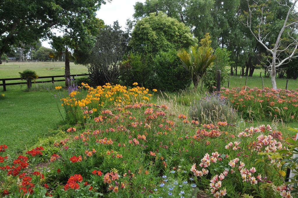 Jacaranda Lodge Coromandel Εξωτερικό φωτογραφία