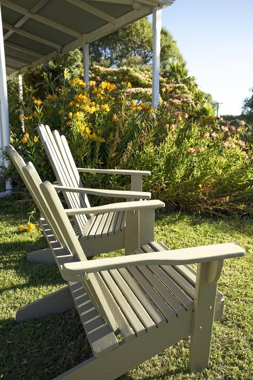 Jacaranda Lodge Coromandel Εξωτερικό φωτογραφία