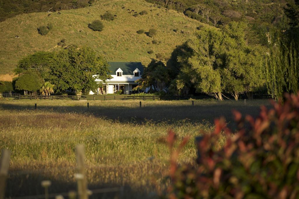 Jacaranda Lodge Coromandel Εξωτερικό φωτογραφία