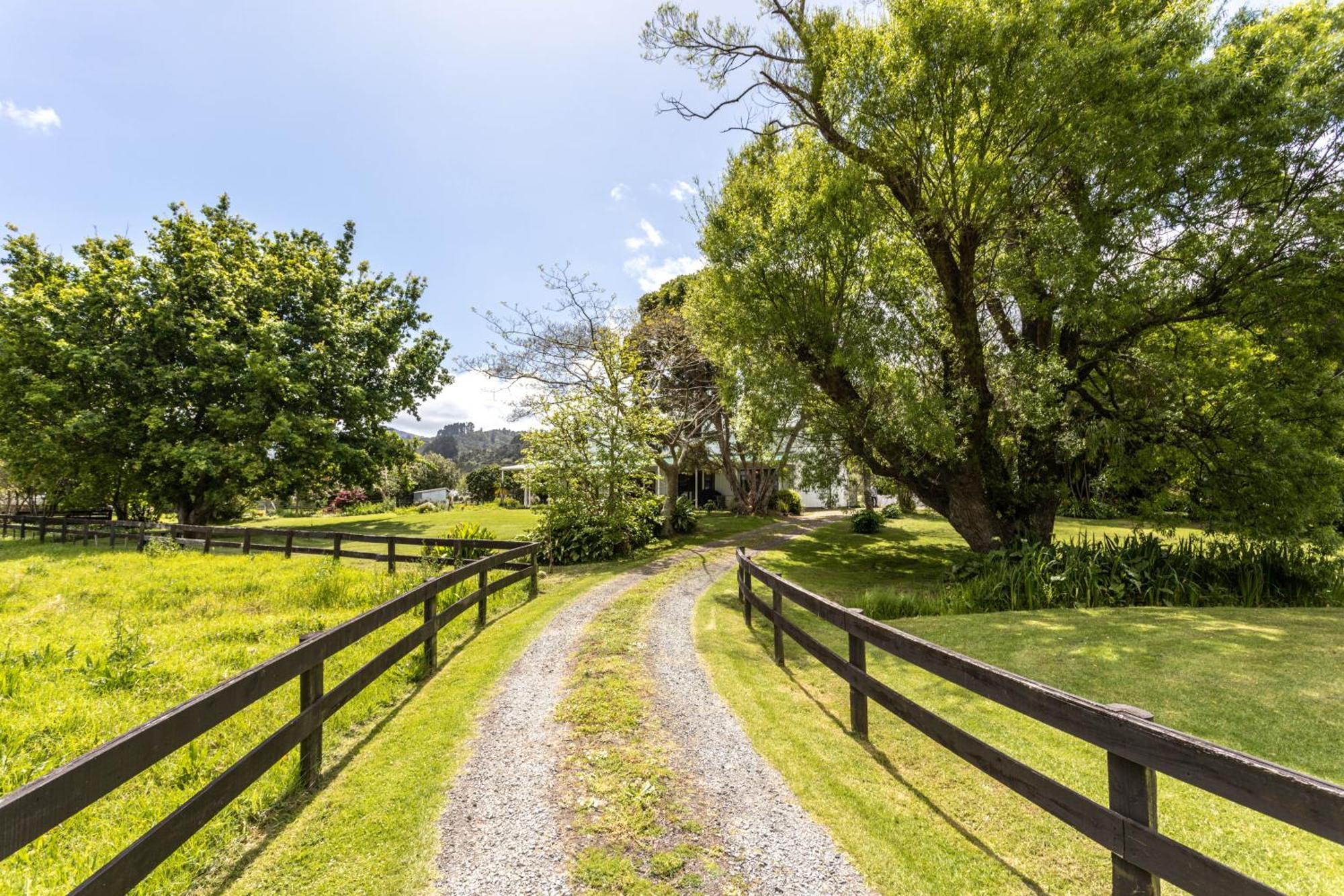 Jacaranda Lodge Coromandel Εξωτερικό φωτογραφία