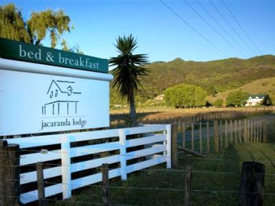 Jacaranda Lodge Coromandel Εξωτερικό φωτογραφία