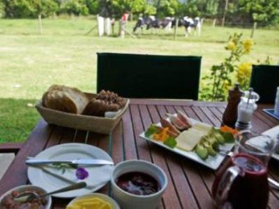 Jacaranda Lodge Coromandel Εξωτερικό φωτογραφία